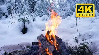 🔥 Уютный Костёр в зимнем лесу 4K (10 ЧАСОВ). Расслабляющий костер зимой со звуками горящих дров
