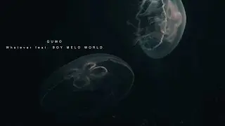 QUMO - Whatever feat. BOY MELO WORLD