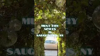 Day Trip to Saugerties, NY&bull; Upstate NY &bull; Must Try Spots &bull; Food &bull; Bookstore &bull; Lighthouse &bull; Wine