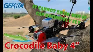Crocodile Baby --  SMO Camera Manual Settings  2K, 60fps, 1/120 Shutter, WB 5k, ND16, ISO 200