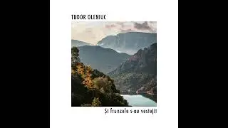 Si frunzele s-au vestejit - Tudor Oleniuc (Cover)