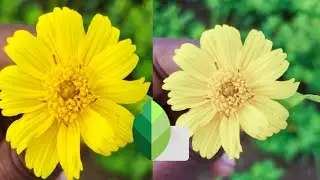 Photo editing sanpseed,