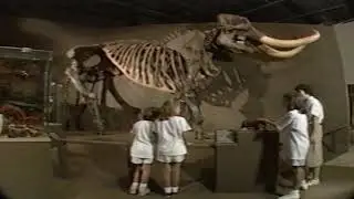 Wakulla Springs, The Mystery Continues (Producer Docent Films 1989)