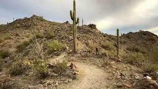 Skyline Crest Trail Hike Walking Tour — Sunrise in the Arizona mountains