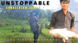 Rohu Fish Battle: The Most Unbelievable Fishing Moment Yet!
