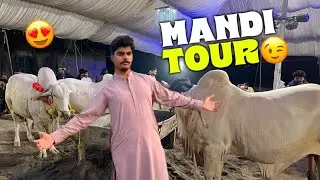 Mandi Ture Krwa Lia😉 | Sab dost Mandi Gye☺️ | Ibrahimjutt