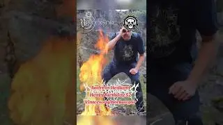 #vintersorg #sweden #borknagar #blackmetal #efem&eacute;rides #rock #metal #music #shorts