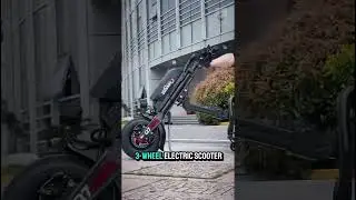 Expert Reveals 3 Wheel Scooter Designed for Disabilities Game Changer