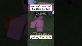 playing 1 minute of #minecraft hardcore per day (11)