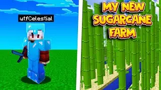 My NEW Sugarcane Farm Is Making Me RICH in Minecraft Skyblock | Minecraft SKYBLOCK SERVER