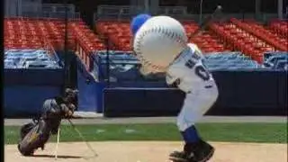 Mr. Met 
