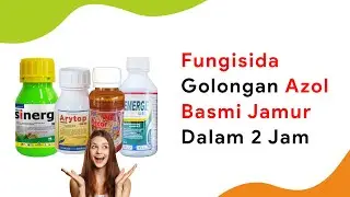 Fungisida Azol 2 Bahan Aktif, Sterilkan Jamur dalam 2 Jam Saja