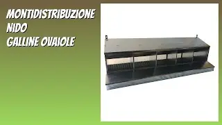 RECENSIONE (2026) : Montidistribuzione Nido Galline Ovaiole. DETTAGLI