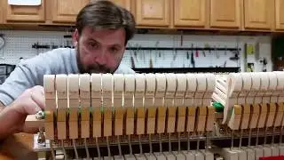 Saturday tutorials with Hamilton Piano Company (insides of a piano)