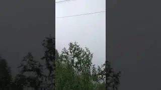 Observasi alam