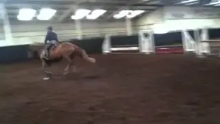 Tango 1m trot