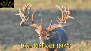 Morning Star Ranch | Trophy Whitetail Hunts
