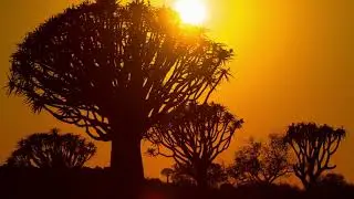 African Sunrise: Captivating Time-Lapse of Dawn Breaking over the Serengeti