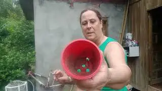 Plantando minhas meninas