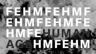 FEHM - Human Age