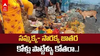 Medaram Sammakka Sarakka Jatara | జాతరలో కోళ్లు, మేకలతో మొక్కులు ఎక్కడ చెల్లిస్తారు..? | ABP Desam