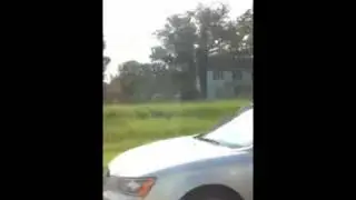 Litterbug
