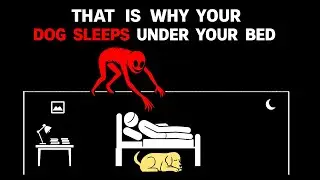 If Your Dog Sleeps Under the Bed&hellip; You're IN DANGER | Analog Horror Series