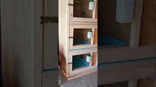 soldat   de cusca din lemn pentru iepurasi   !!!!