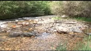 Canadian company eyes Paradise Valley for possible gold mine