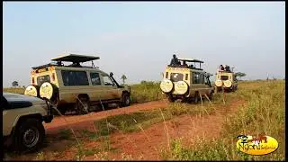 Highlights of our 8 Days Group Tour in Uganda.