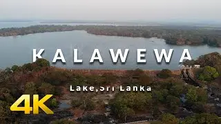 Kalawewa Lake, Sri Lanka / The Art of Nature - Cinematic Landscape Drone Footage