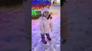 At Red Deer, Alberta Christmas lights show 2025