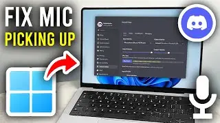 How To Fix Mic Picking Up All PC Sounds - Discord