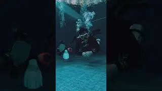Kalau diving rasanya terlalu bentar ? - TecRec Diving