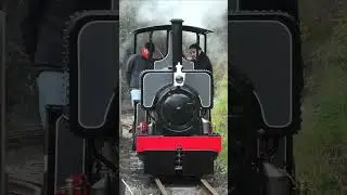 Vale of Rheidol Railway Wren on driver experience duties  #train #steamengine #railway