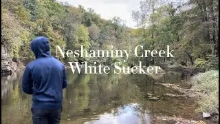 Catching White Sucker Deep in the Woods