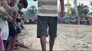 Karapan sapi DHERES putra Lapindo Abah Mather 
