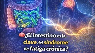 ¿El intestino podría ser la clave del síndrome de fatiga crónica? 🧠💩