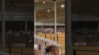 My first time to watch rodeo | Sumter County Fair, Florida | part 1
