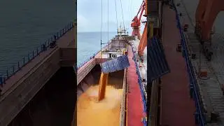 Where Does Thousands of Kilos of Grain Disappear from Ships ?
