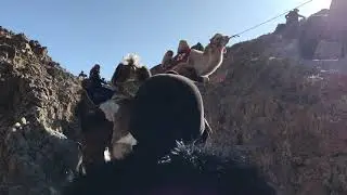 Camel Jam