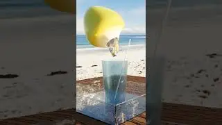 Coconut water Animation In Blender #blender #shorts #blenderanimation