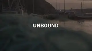 Unbound | A leatherback sea turtle documentary [Short version]