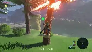 Flying on a tree!