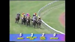 Nothin Leica Dane - VRC Derby 2500m Group 1 1995 - Ridden by RS Dye