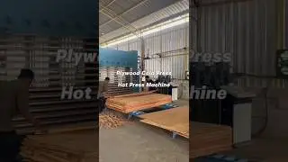 Plywood cold press machine, plywood hot press machine