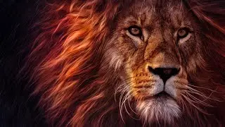 Luxury African Safari 2026 | Ultimate Tanzania Bucket-List Adventure