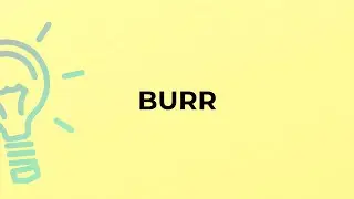 What is the meaning of the word BURR?