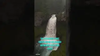 This River in the Amazon Can Boil You Alive! 😱🌊 #shorts #wildlife #mystery
