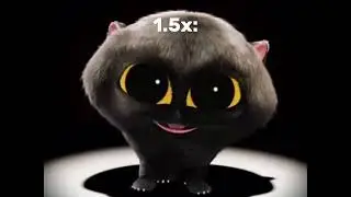 10m view special. (Remastered) Kitteh Kitteh scatman but it gets faster